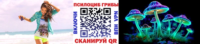 где купить наркоту  Новозыбков  Псилоцибиновые грибы прущие грибы 