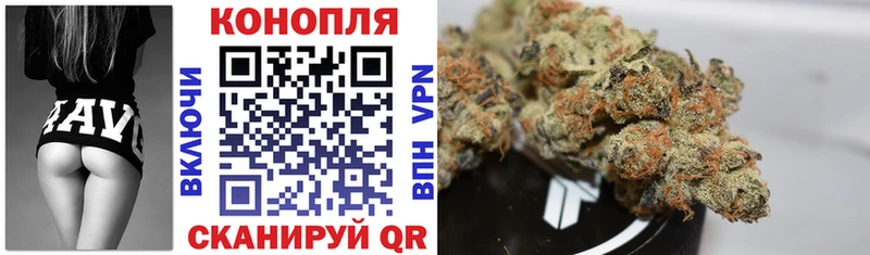 Бошки Шишки LSD WEED  наркота  Новозыбков 